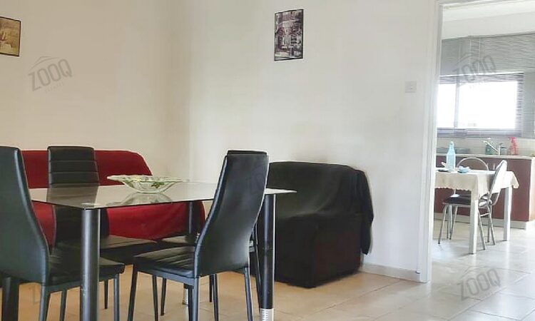 3 bed apartment rent strovolos 15