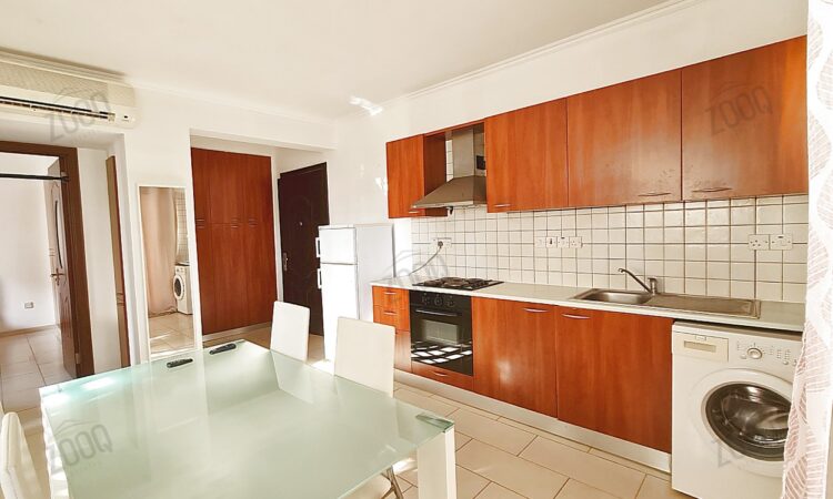 1 bed apartment for rent in lykabittos, nicosia cyprus 9