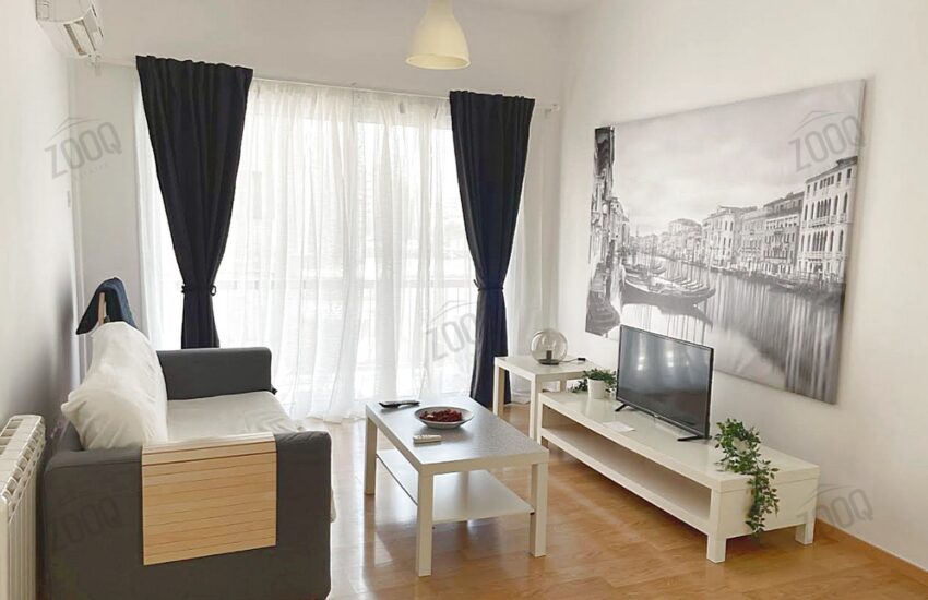 1 bedroom flat for rent in nicosia city centre, cyprus 1