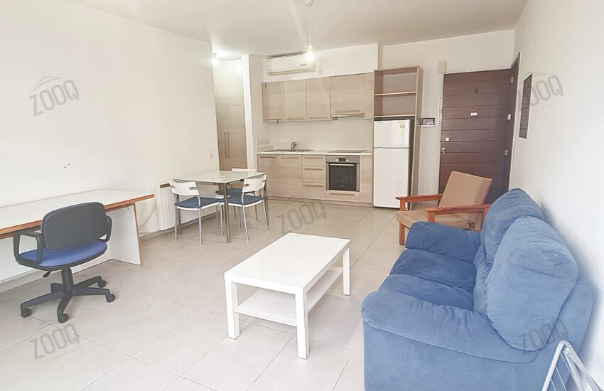 1 bedroom flat for rent in engomi, nicosia cyprus 8
