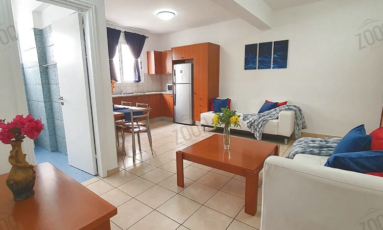1 bedroom flat for rent in lykavitos 10