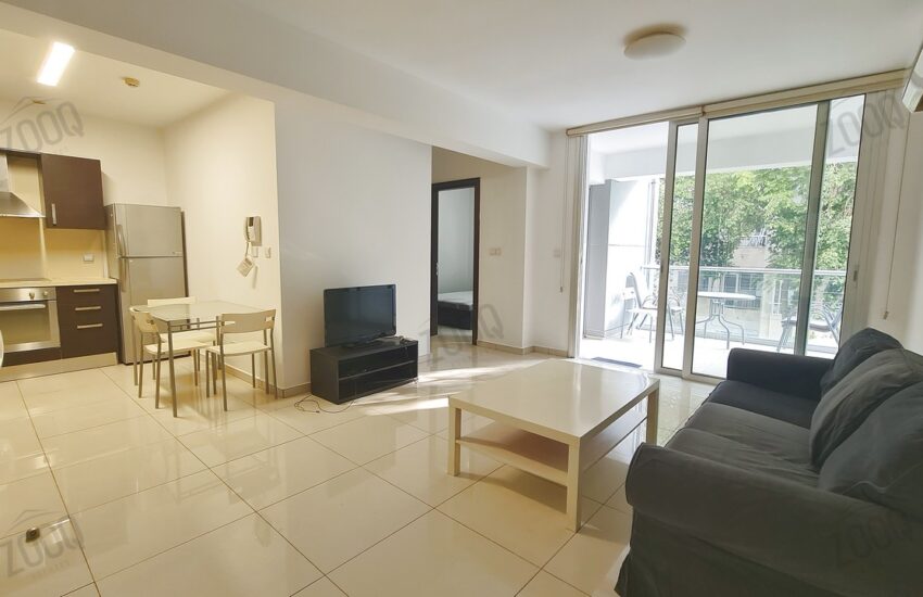 1 bedroom flat for rent in nicosia city centre 3