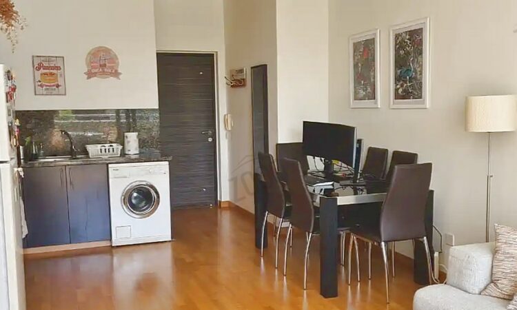 1 bedroom flat in ayioi omologoites 4